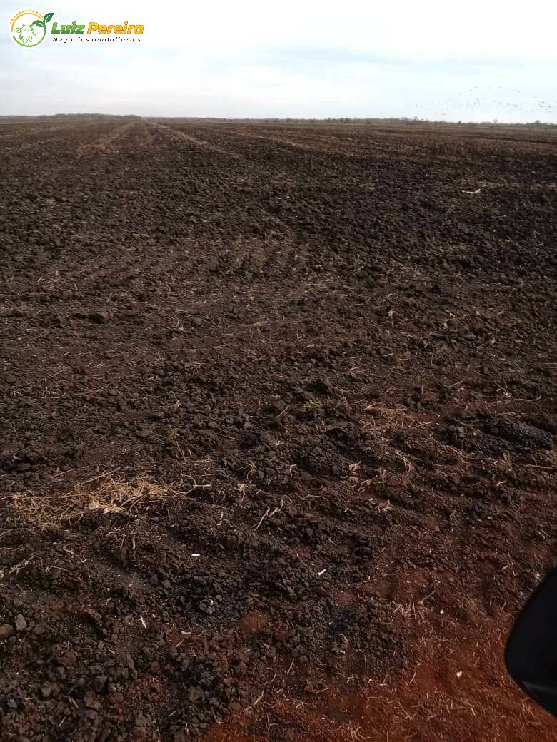 Fazenda à venda, 18000000m² - Foto 15