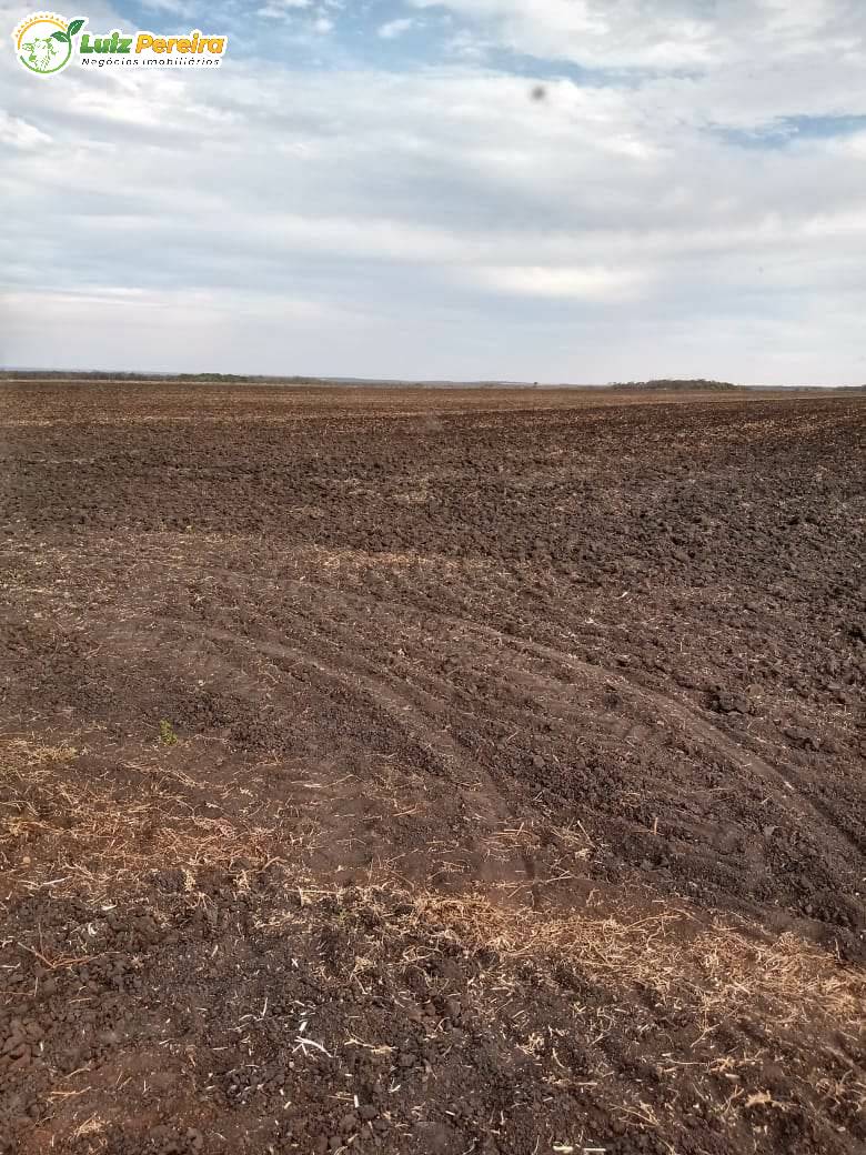 Fazenda à venda, 18000000m² - Foto 10