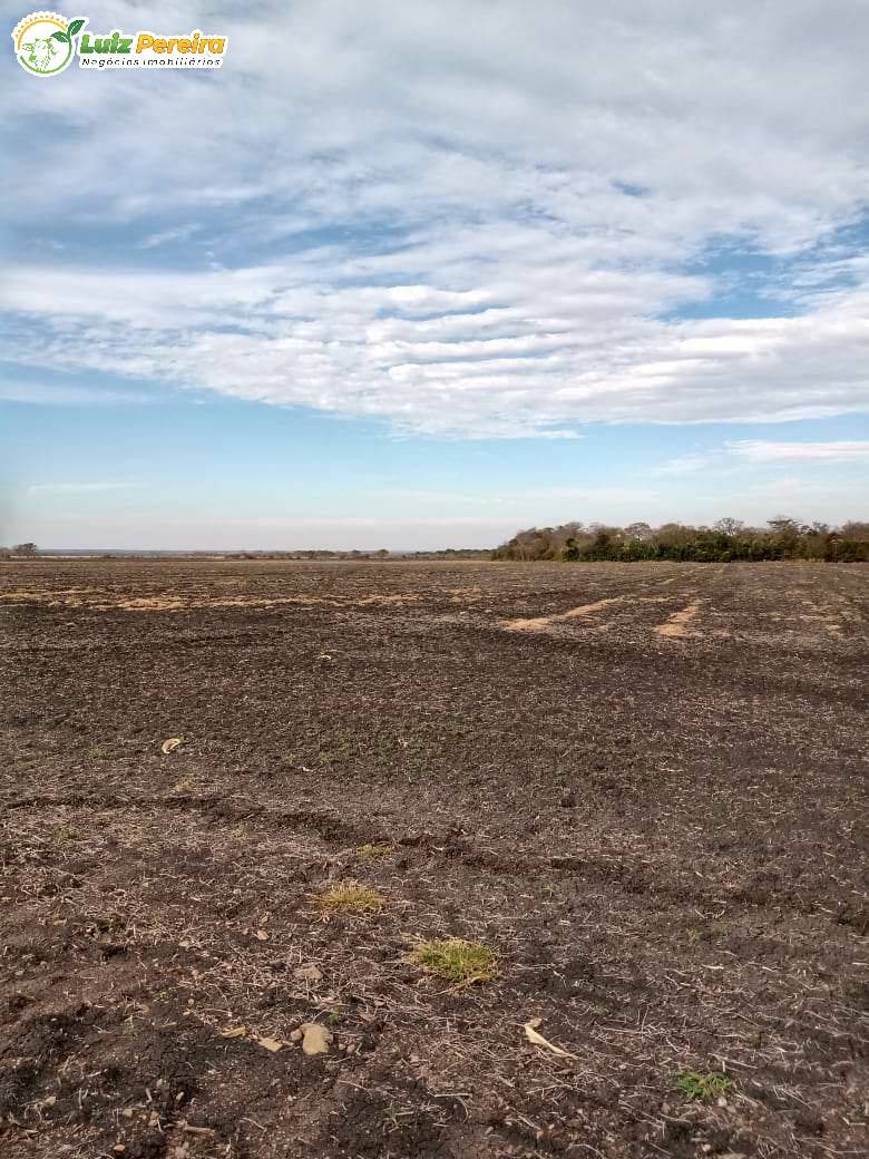 Fazenda à venda, 18000000m² - Foto 12