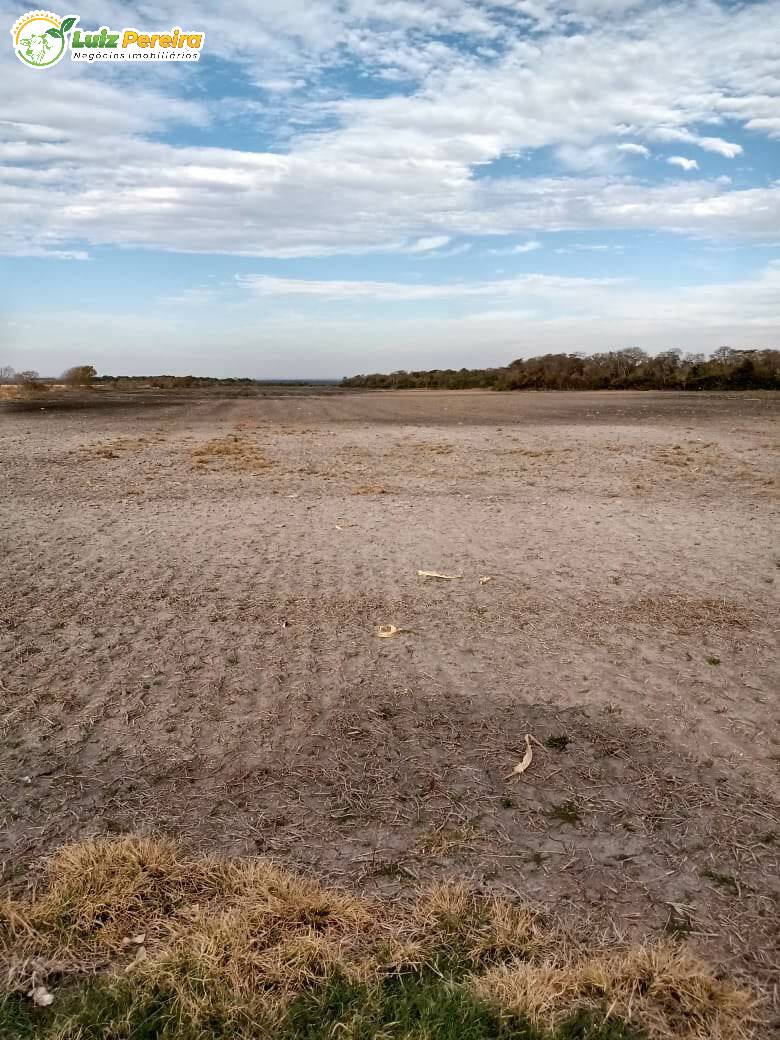 Fazenda à venda, 18000000m² - Foto 13