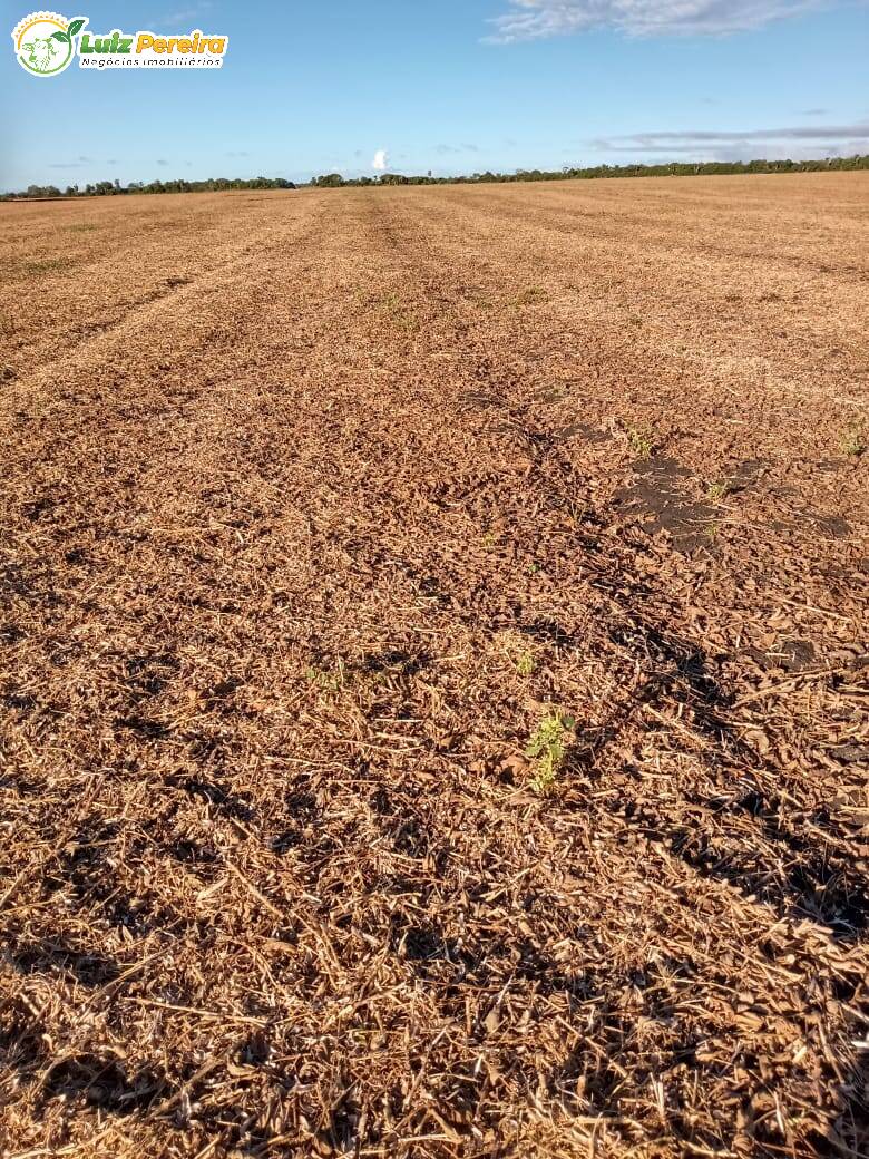 Fazenda à venda, 18000000m² - Foto 14