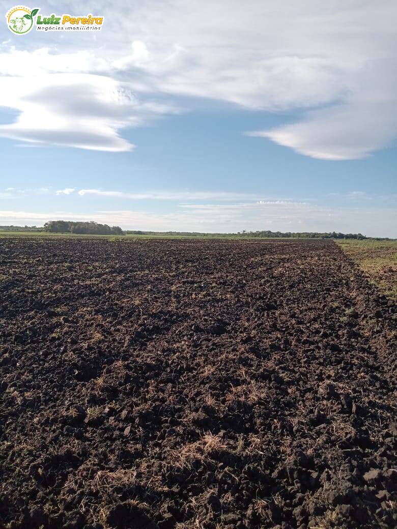 Fazenda à venda, 18000000m² - Foto 17