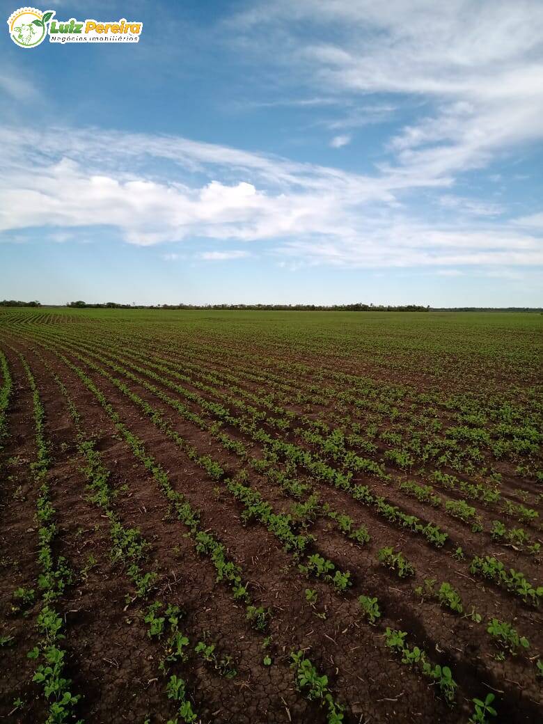 Fazenda à venda, 18000000m² - Foto 6