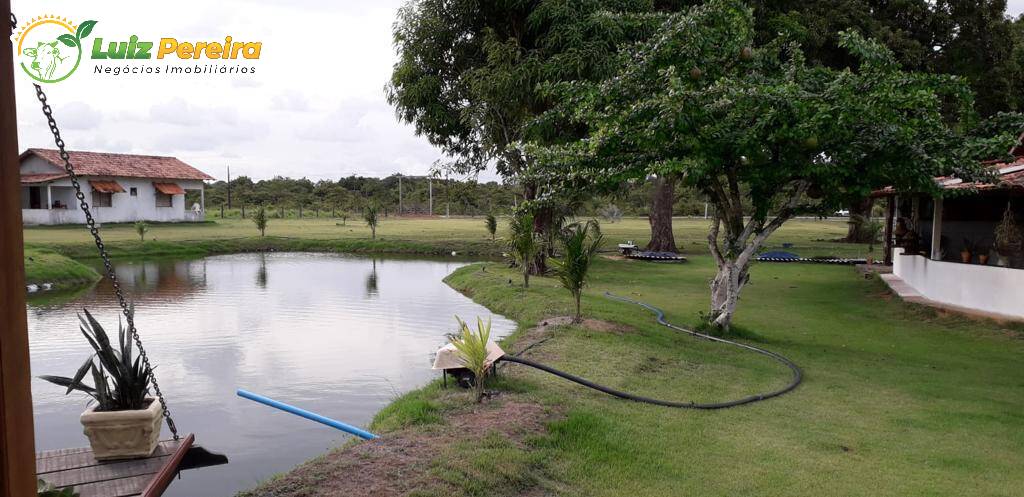 Fazenda-Sítio-Chácara, 455 hectares - Foto 4