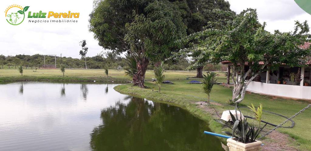 Fazenda-Sítio-Chácara, 455 hectares - Foto 1