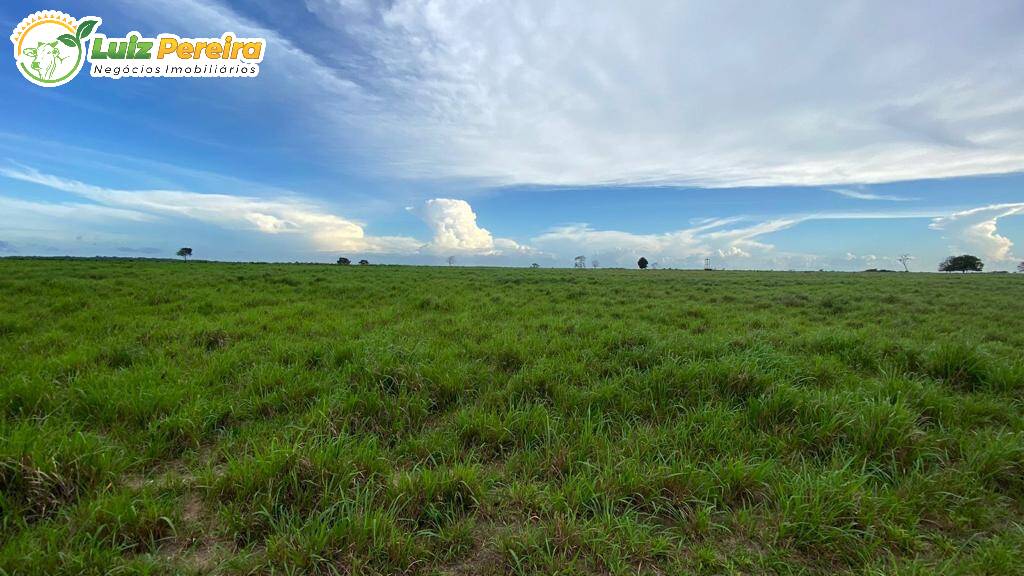 Fazenda à venda, 4550000m² - Foto 3