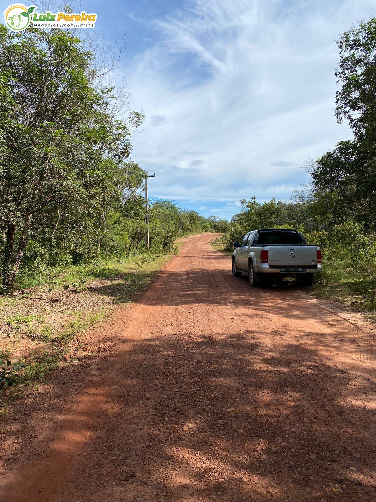 Fazenda à venda, 23130000m² - Foto 16