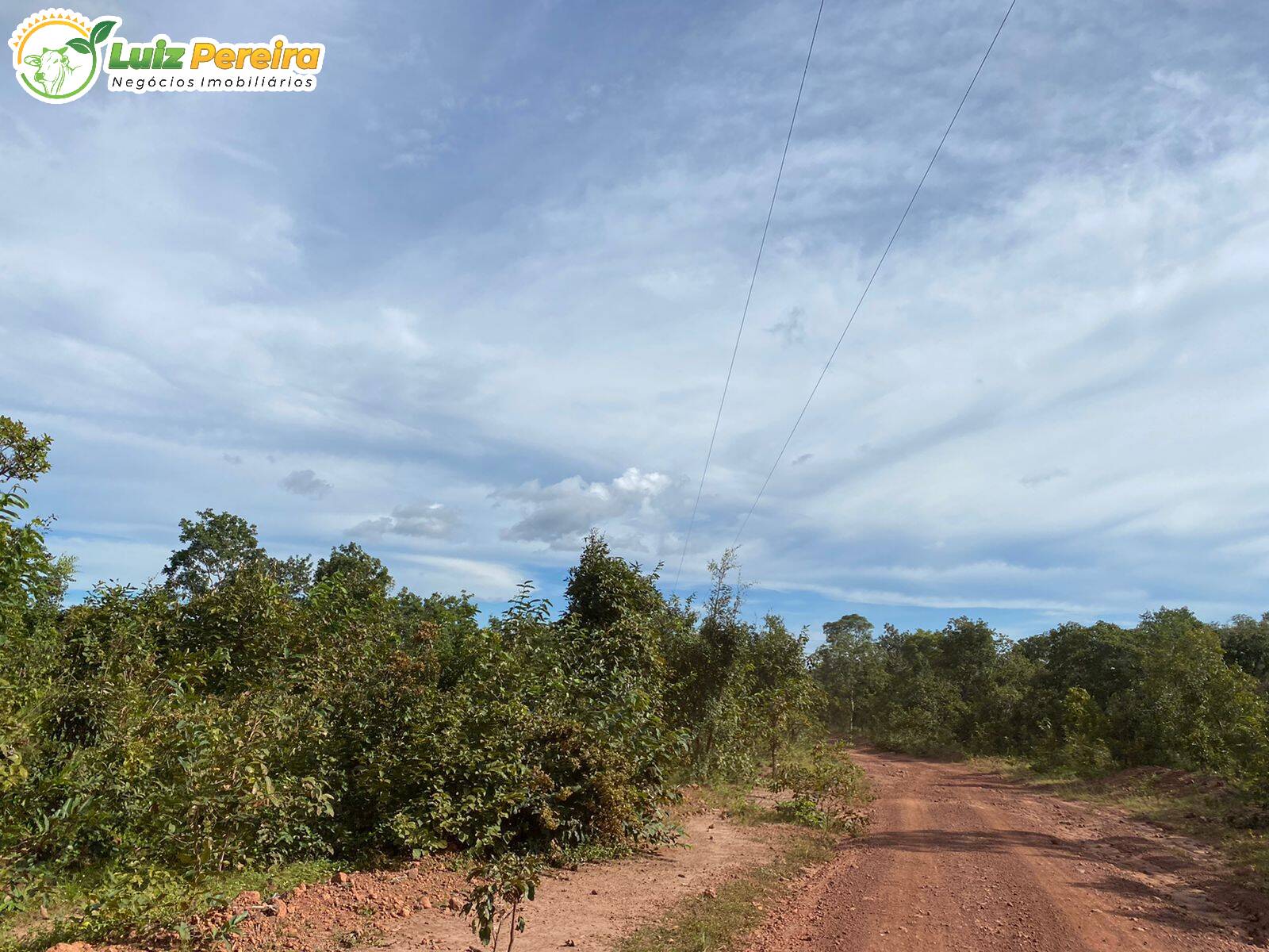 Fazenda à venda, 23130000m² - Foto 17