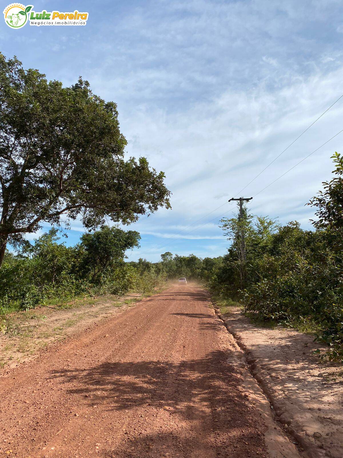 Fazenda à venda, 23130000m² - Foto 11