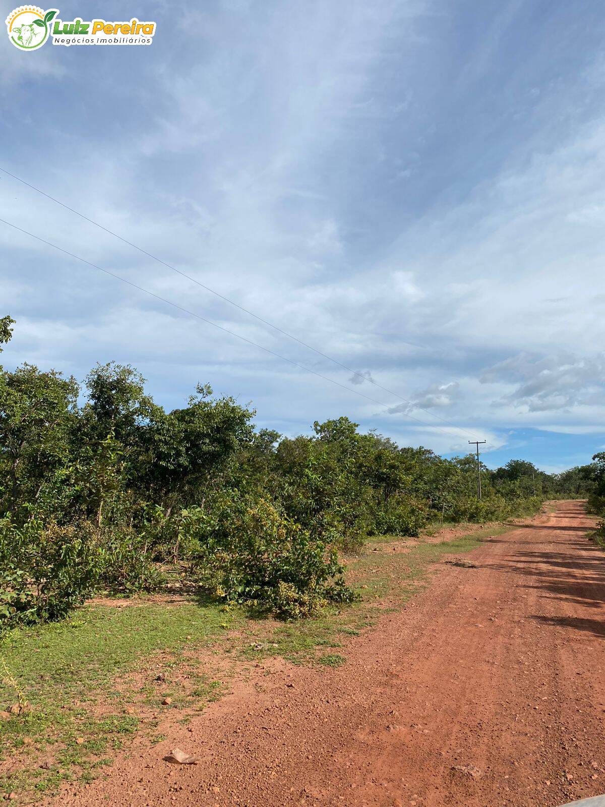 Fazenda à venda, 23130000m² - Foto 12