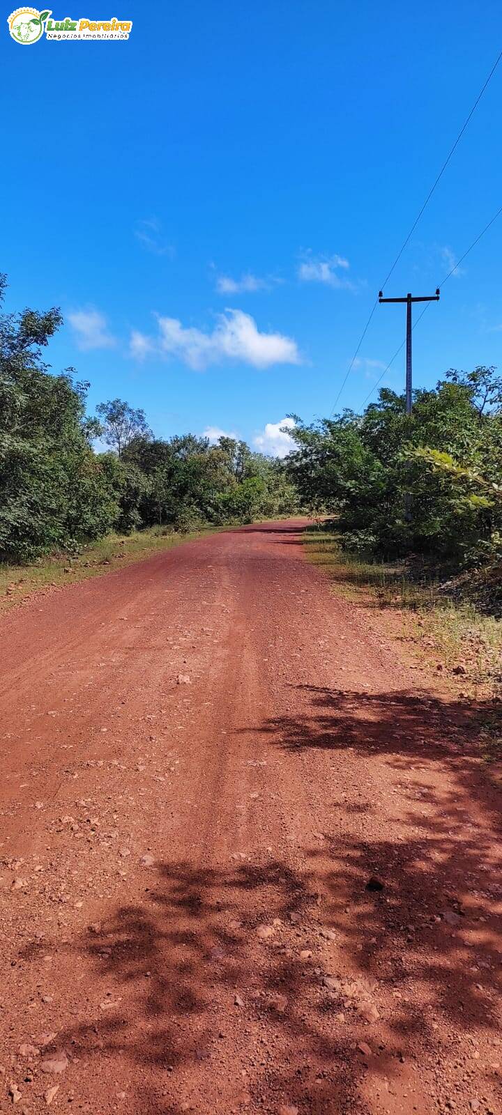 Fazenda à venda, 23130000m² - Foto 14