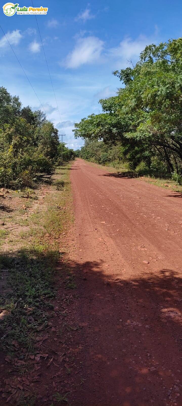 Fazenda à venda, 23130000m² - Foto 15