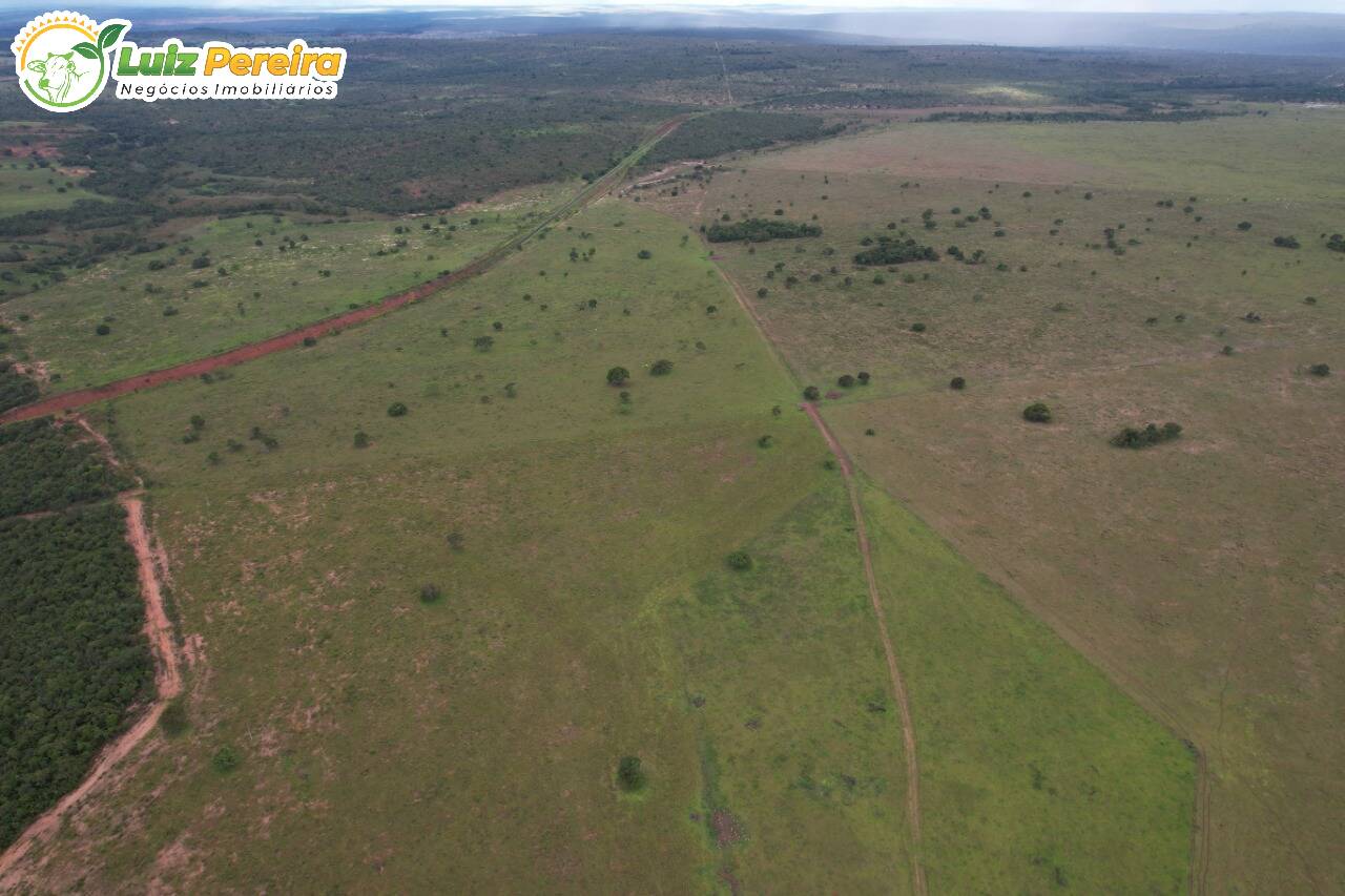 Fazenda à venda, 4000000m² - Foto 5