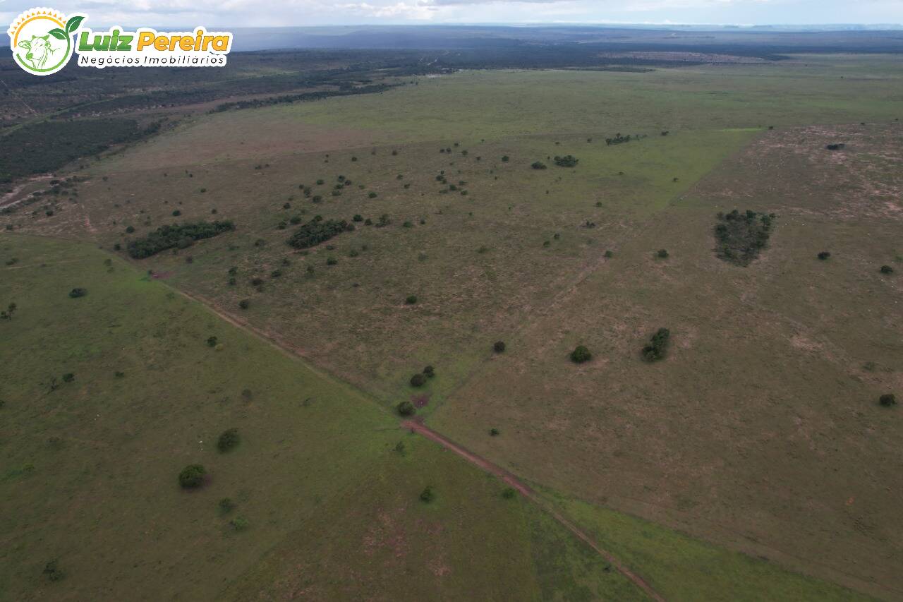 Fazenda à venda, 4000000m² - Foto 8