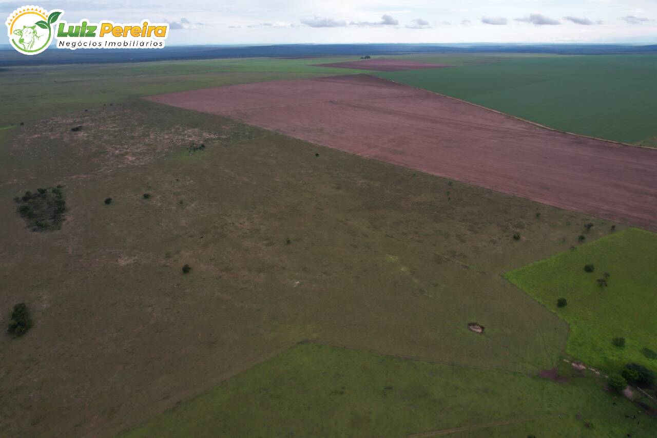 Fazenda à venda, 4000000m² - Foto 10