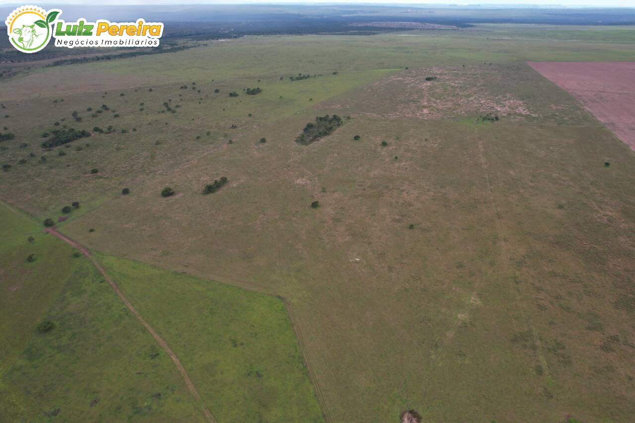 Fazenda à venda, 4000000m² - Foto 11