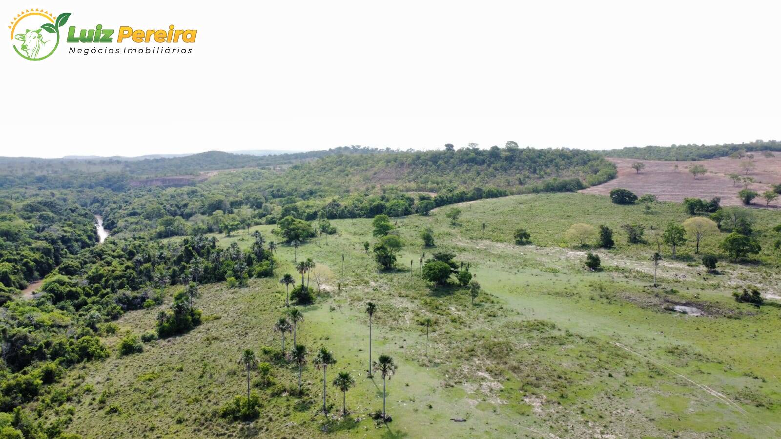 Fazenda à venda, 114950000m² - Foto 13