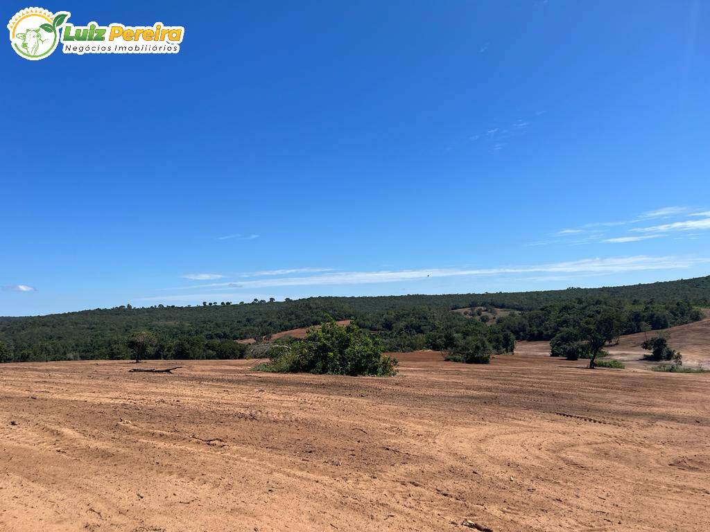 Fazenda à venda, 114950000m² - Foto 14