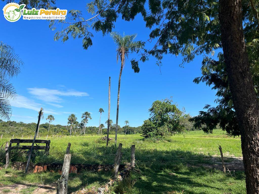 Fazenda à venda, 114950000m² - Foto 9