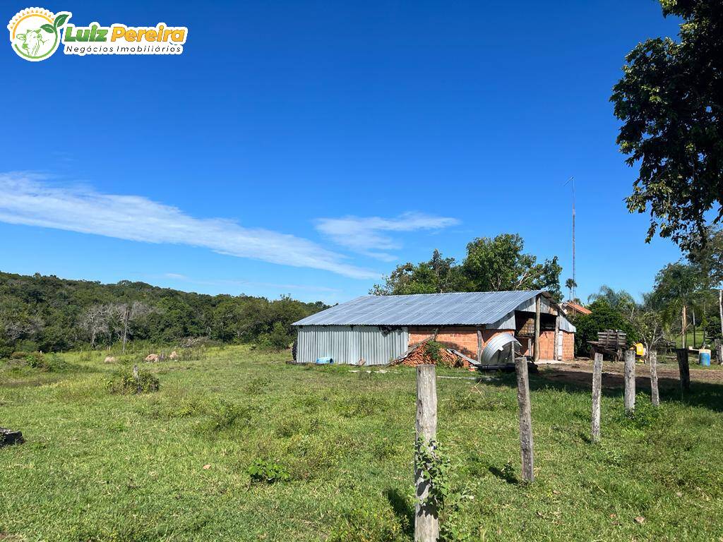 Fazenda à venda, 114950000m² - Foto 11