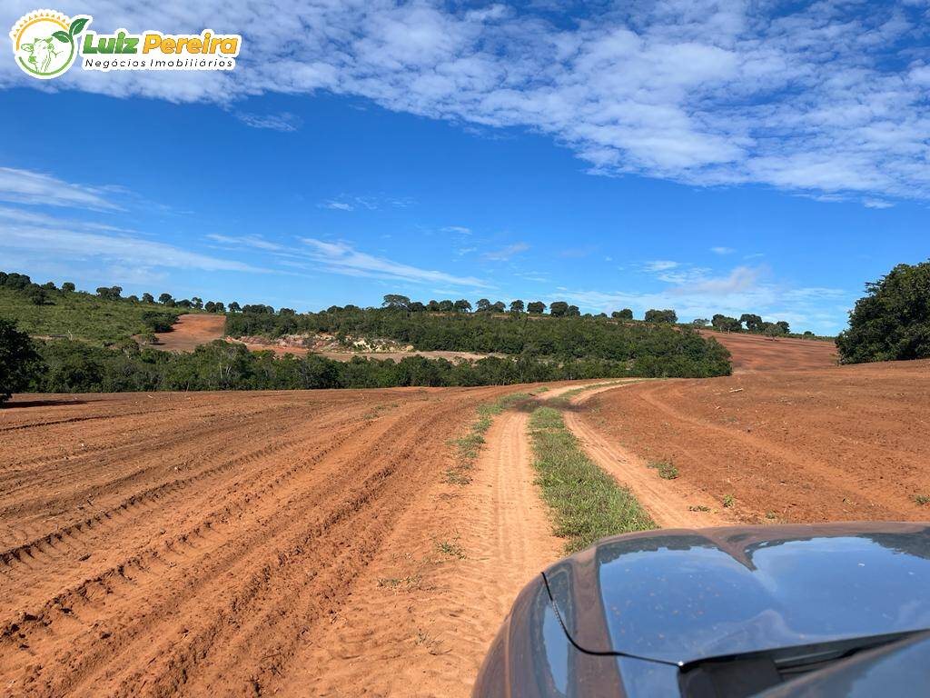 Fazenda à venda, 114950000m² - Foto 19