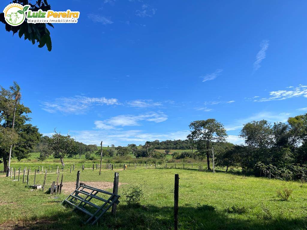 Fazenda à venda, 114950000m² - Foto 10