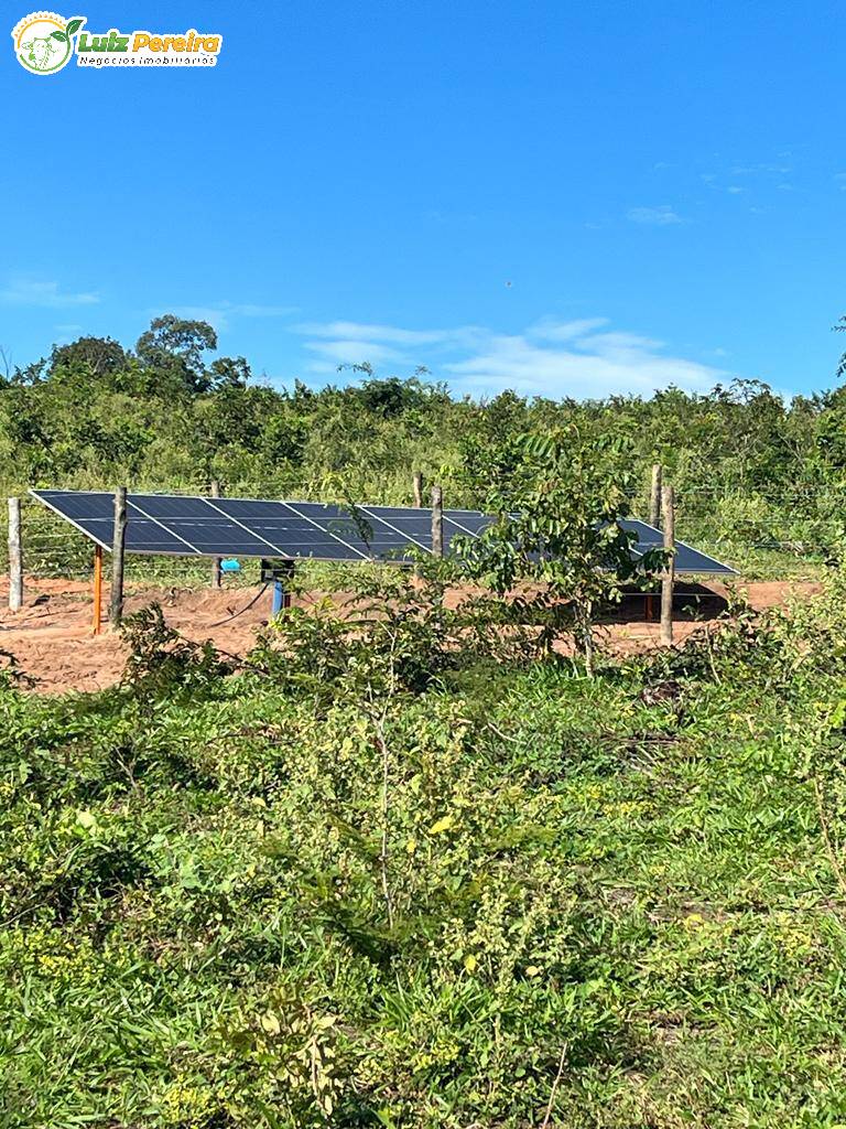 Fazenda à venda, 114950000m² - Foto 7