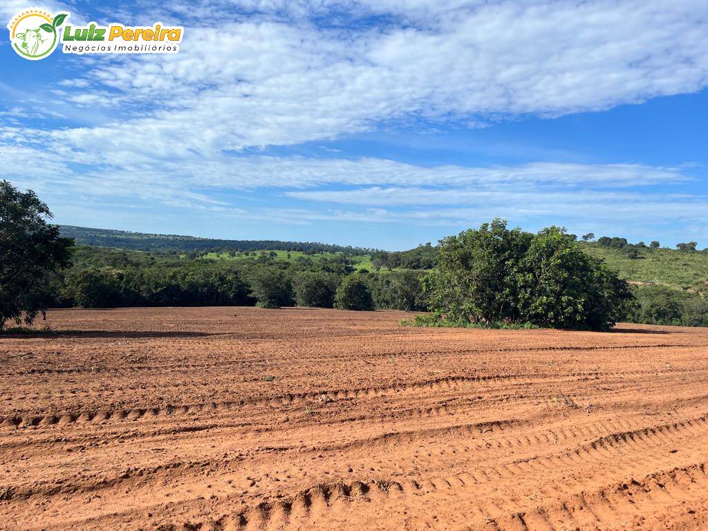 Fazenda à venda, 114950000m² - Foto 21