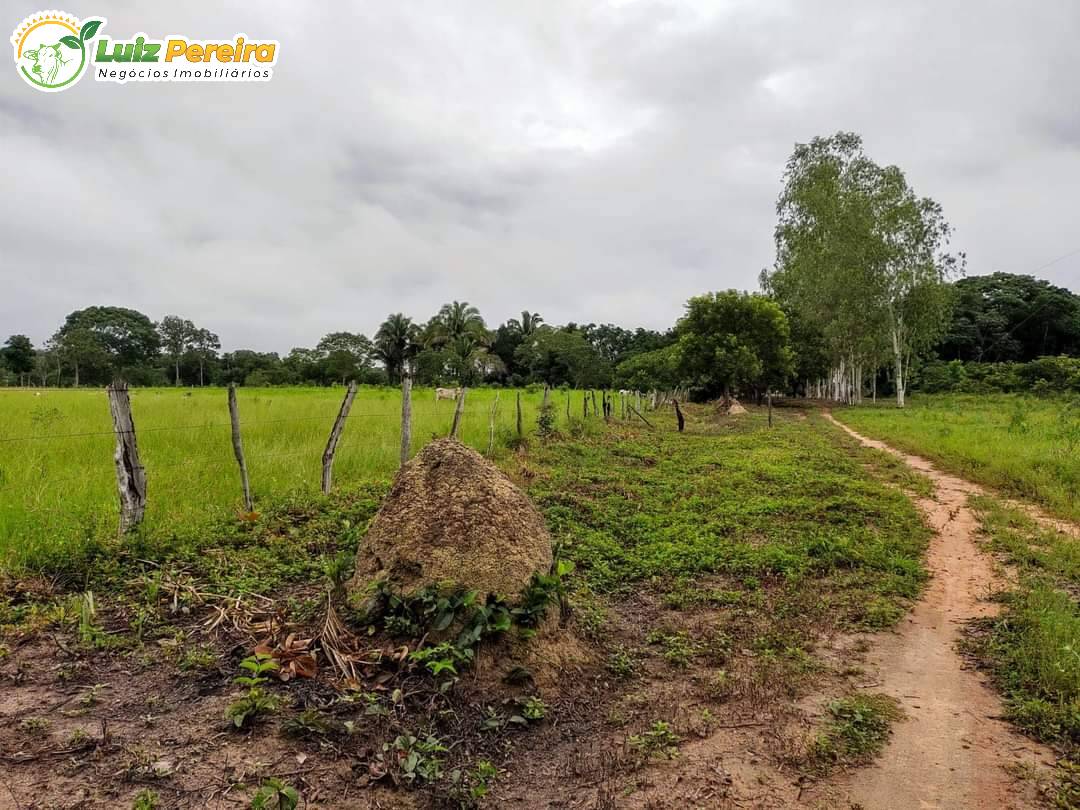 Fazenda-Sítio-Chácara, 329 hectares - Foto 2