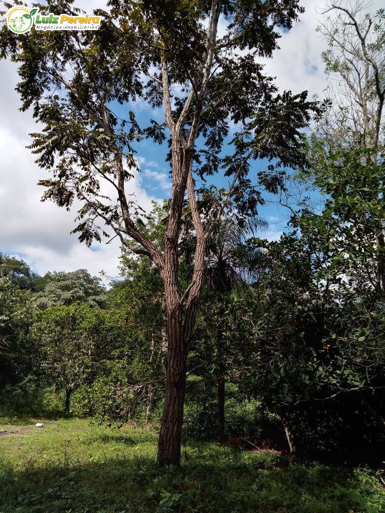 Fazenda à venda, 4460000m² - Foto 14