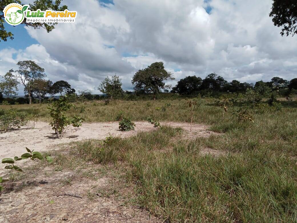 Fazenda à venda, 4460000m² - Foto 17