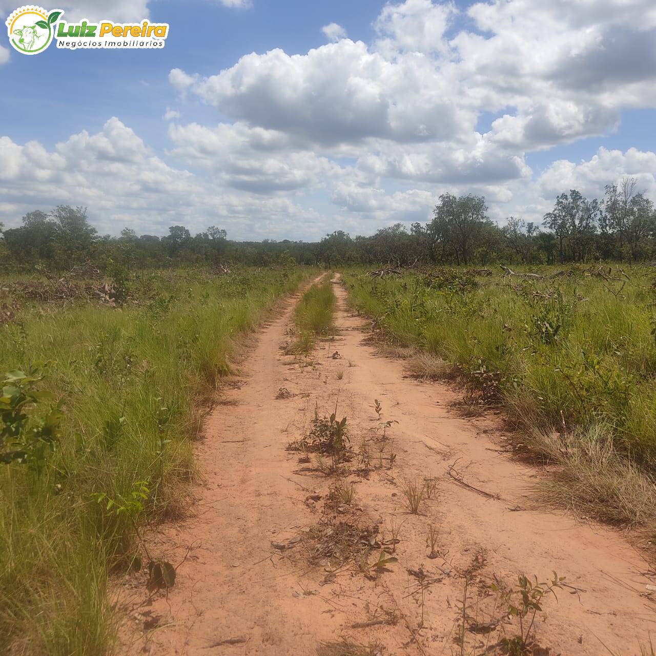 Fazenda à venda, 38720000m² - Foto 9