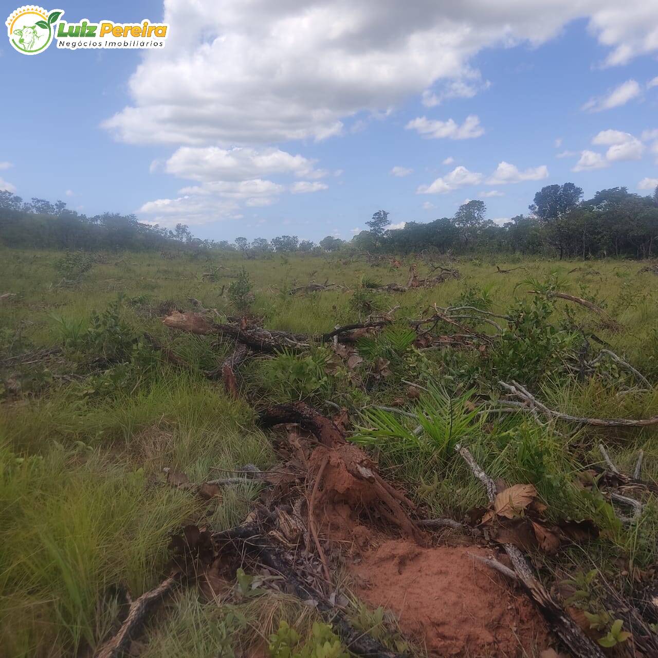 Fazenda à venda, 38720000m² - Foto 6