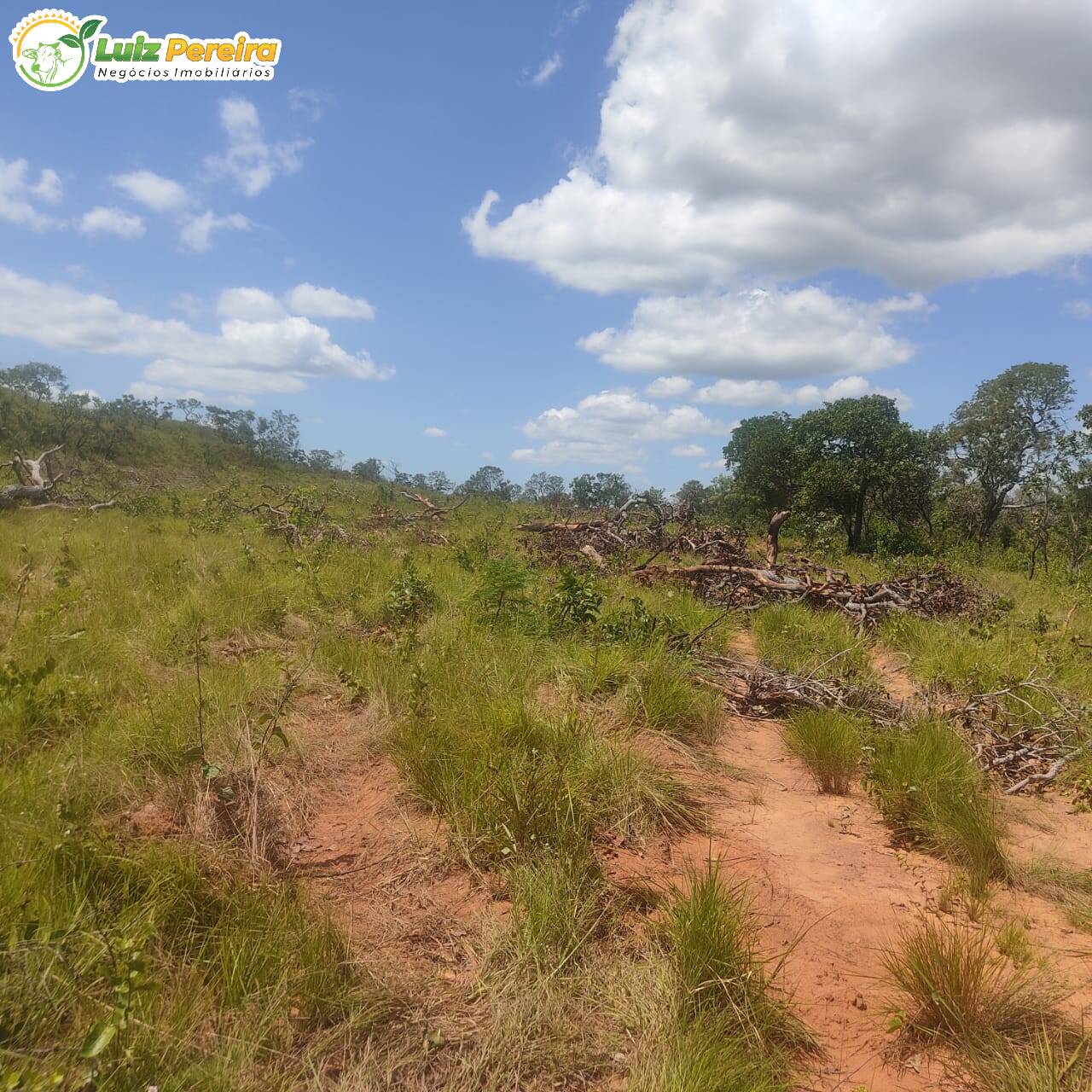 Fazenda à venda, 38720000m² - Foto 8