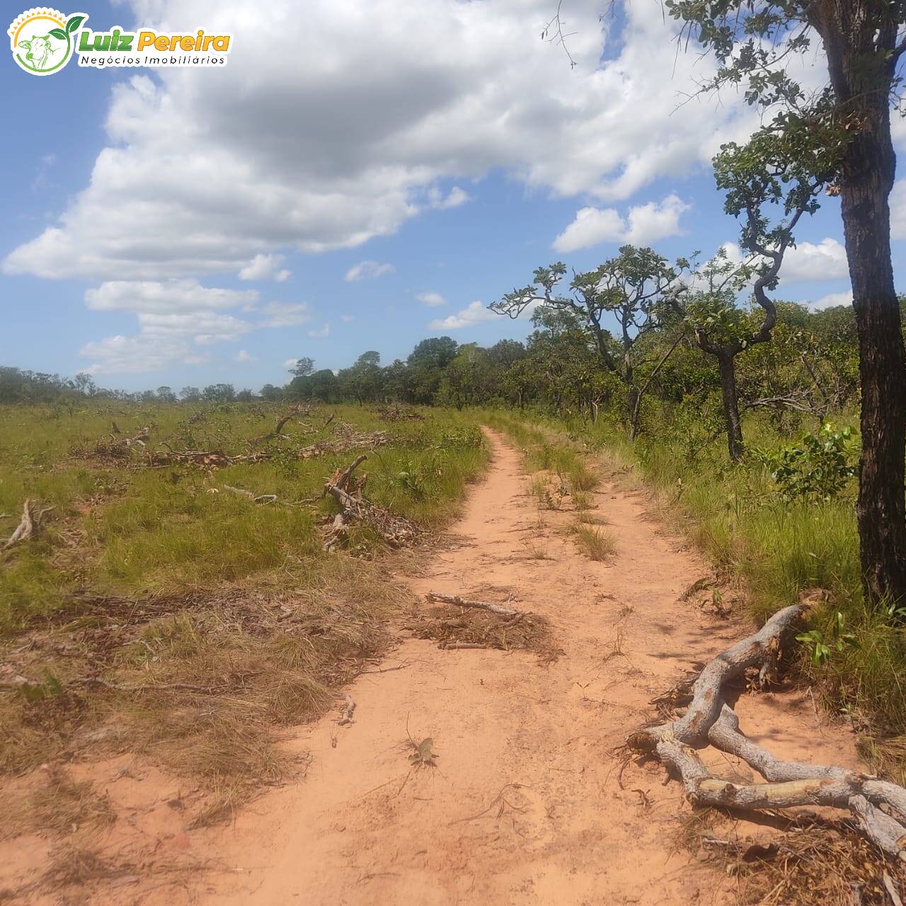 Fazenda à venda, 38720000m² - Foto 11