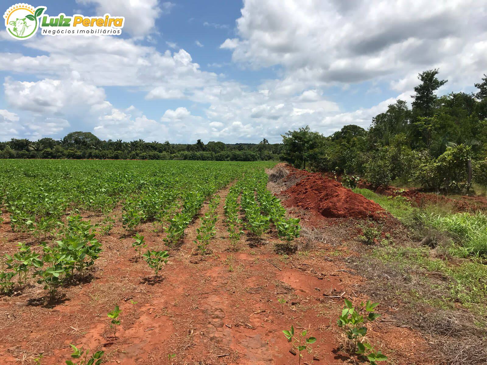 Fazenda à venda, 1118m² - Foto 18