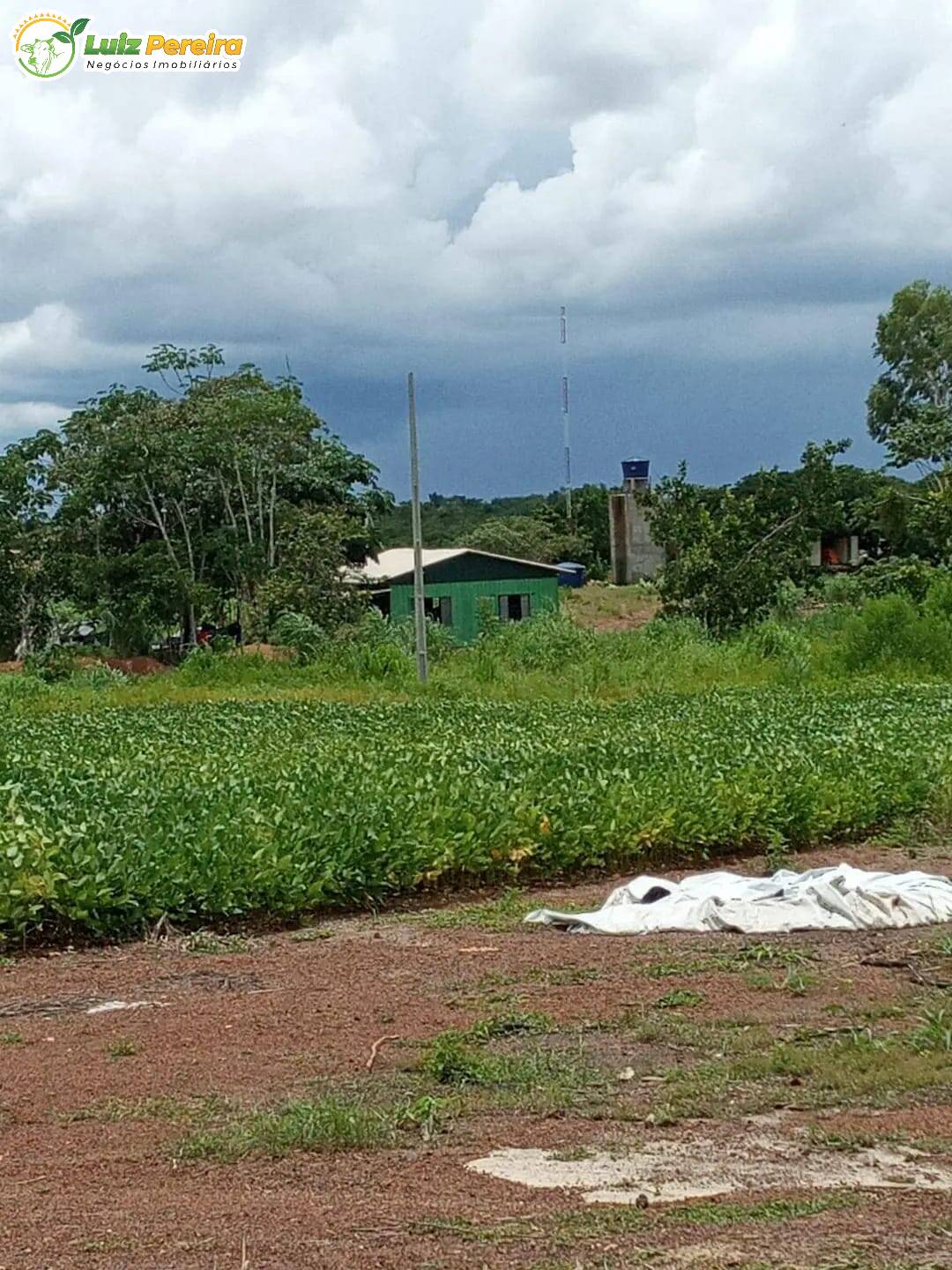 Fazenda à venda, 47900000m² - Foto 2