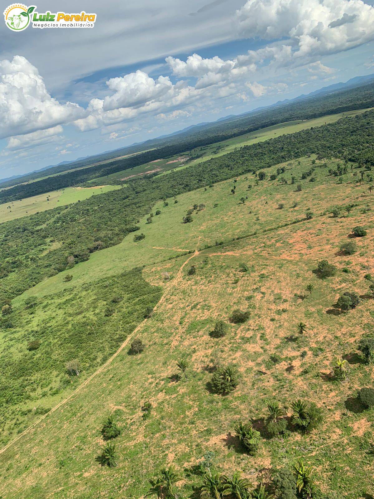 Fazenda à venda, 70180000m² - Foto 1