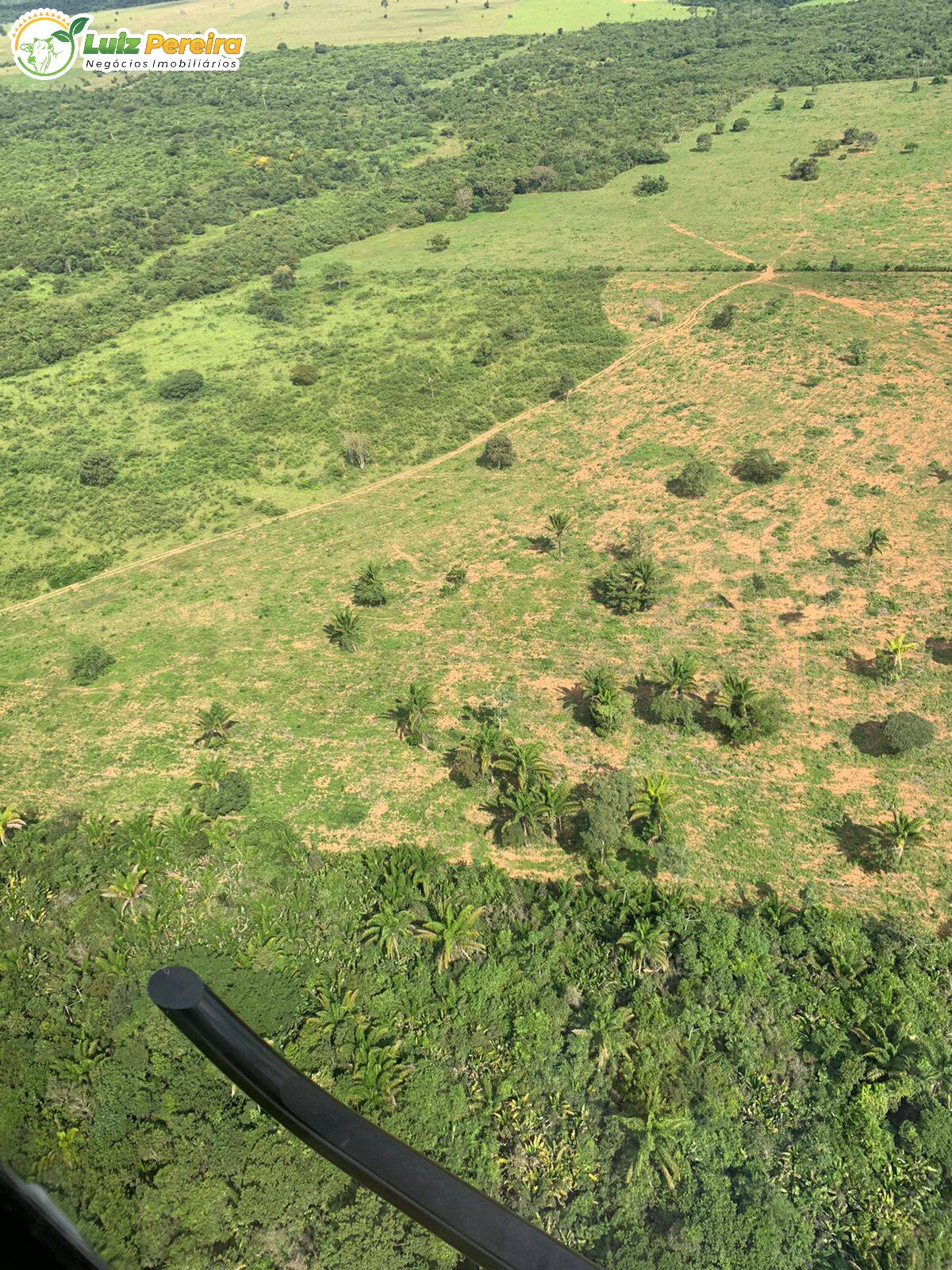 Fazenda à venda, 70180000m² - Foto 2