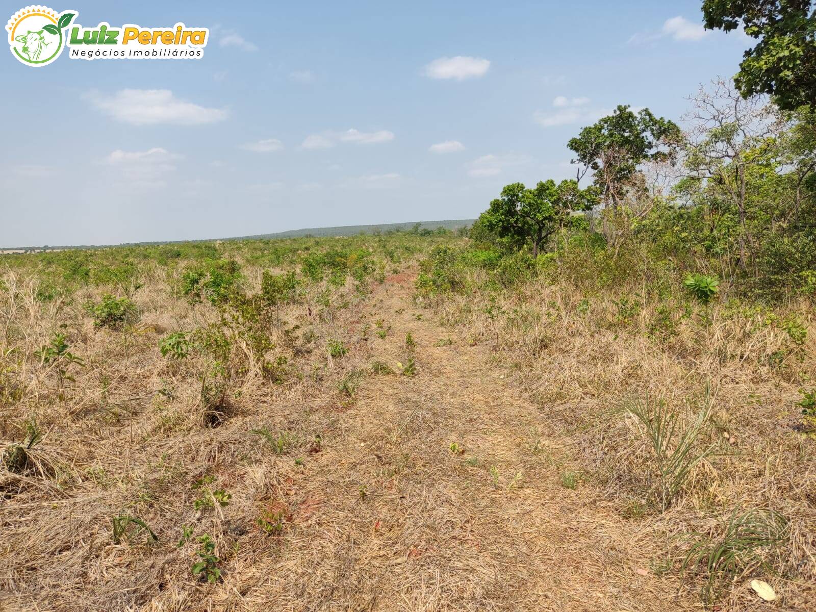 Terreno à venda, 4100000m² - Foto 10