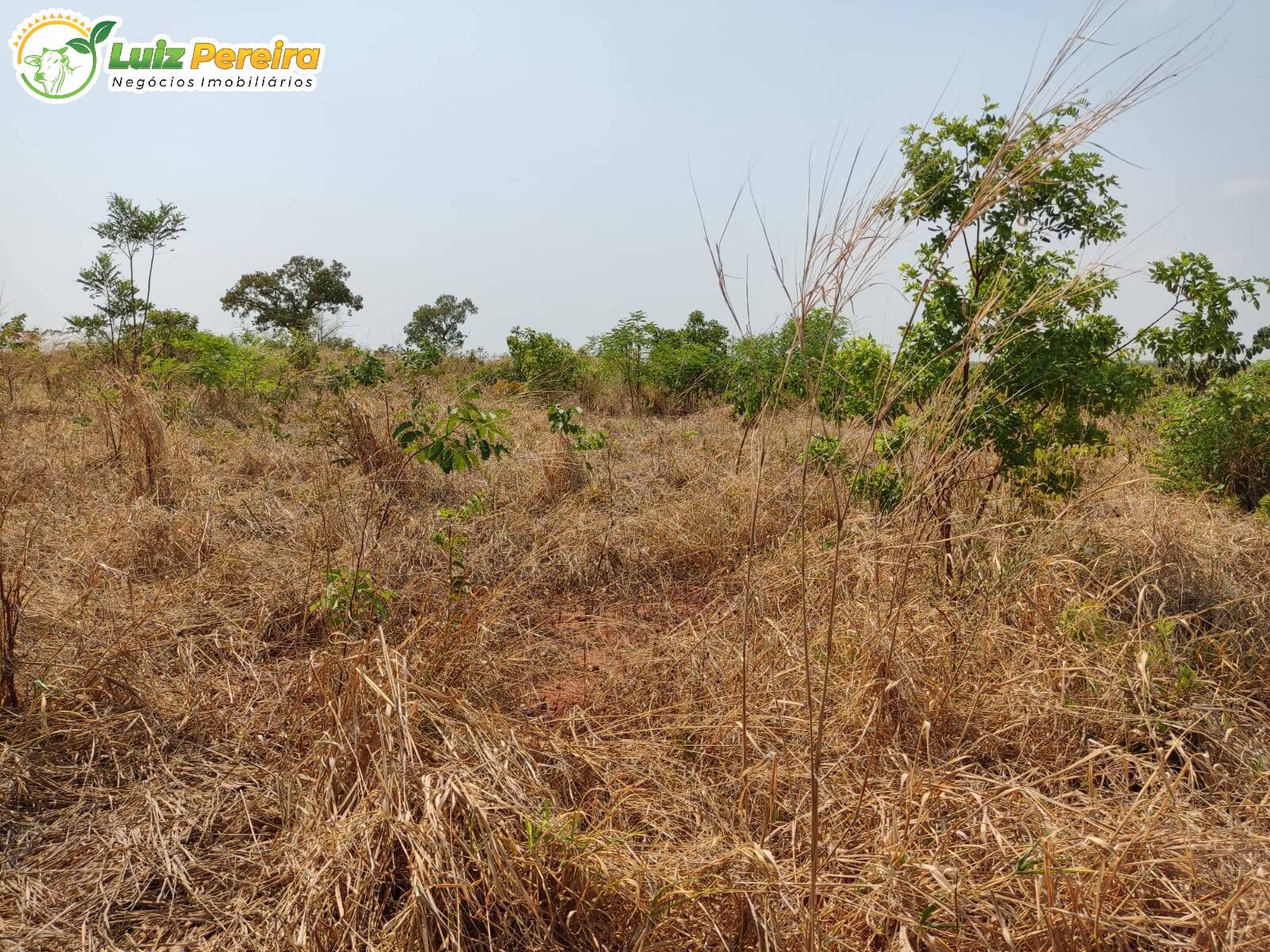 Terreno à venda, 4100000m² - Foto 8