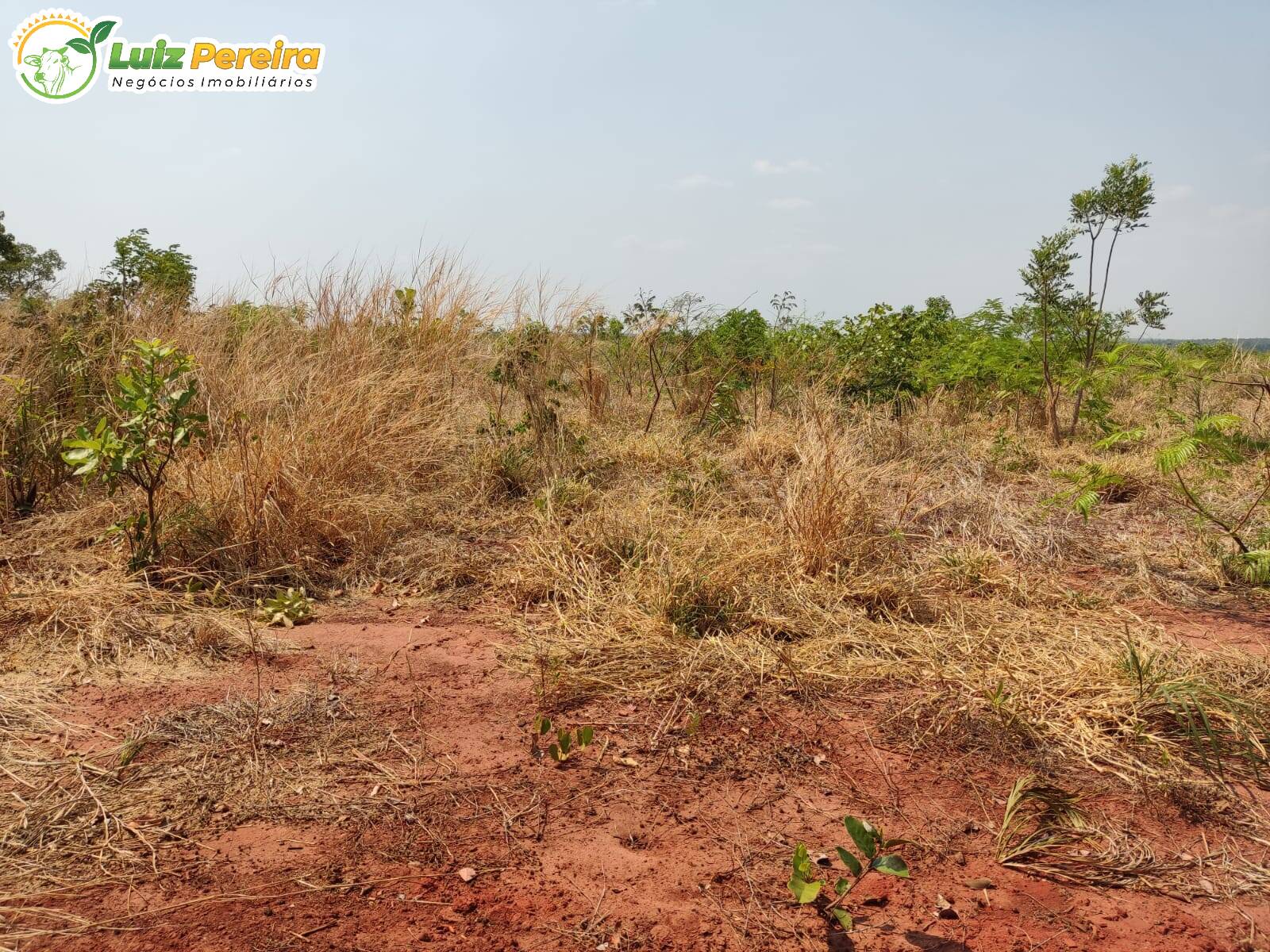 Terreno à venda, 4100000m² - Foto 6