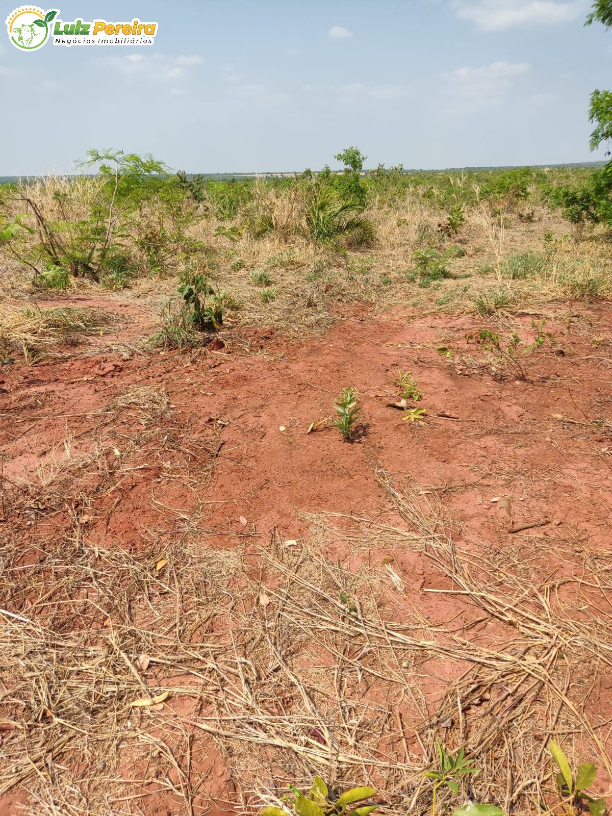 Terreno à venda, 4100000m² - Foto 18