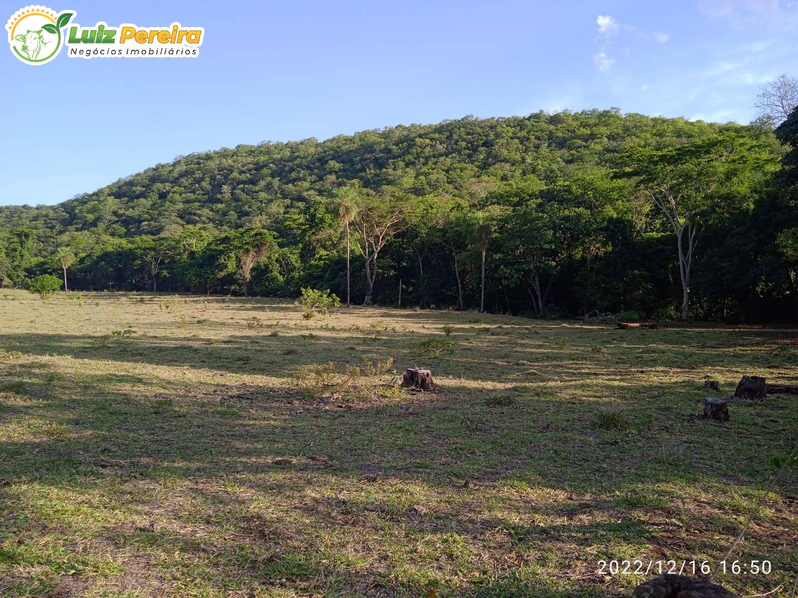 Terreno à venda, 830000m² - Foto 4