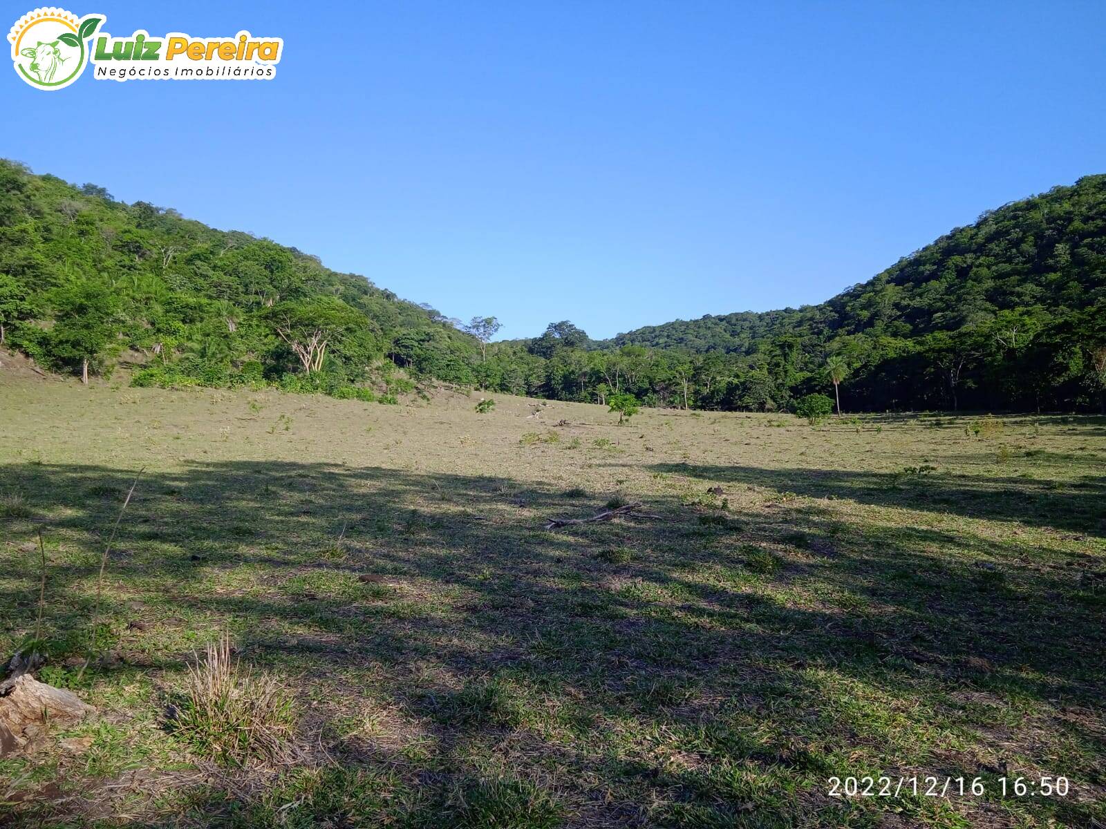 Terreno à venda, 830000m² - Foto 5