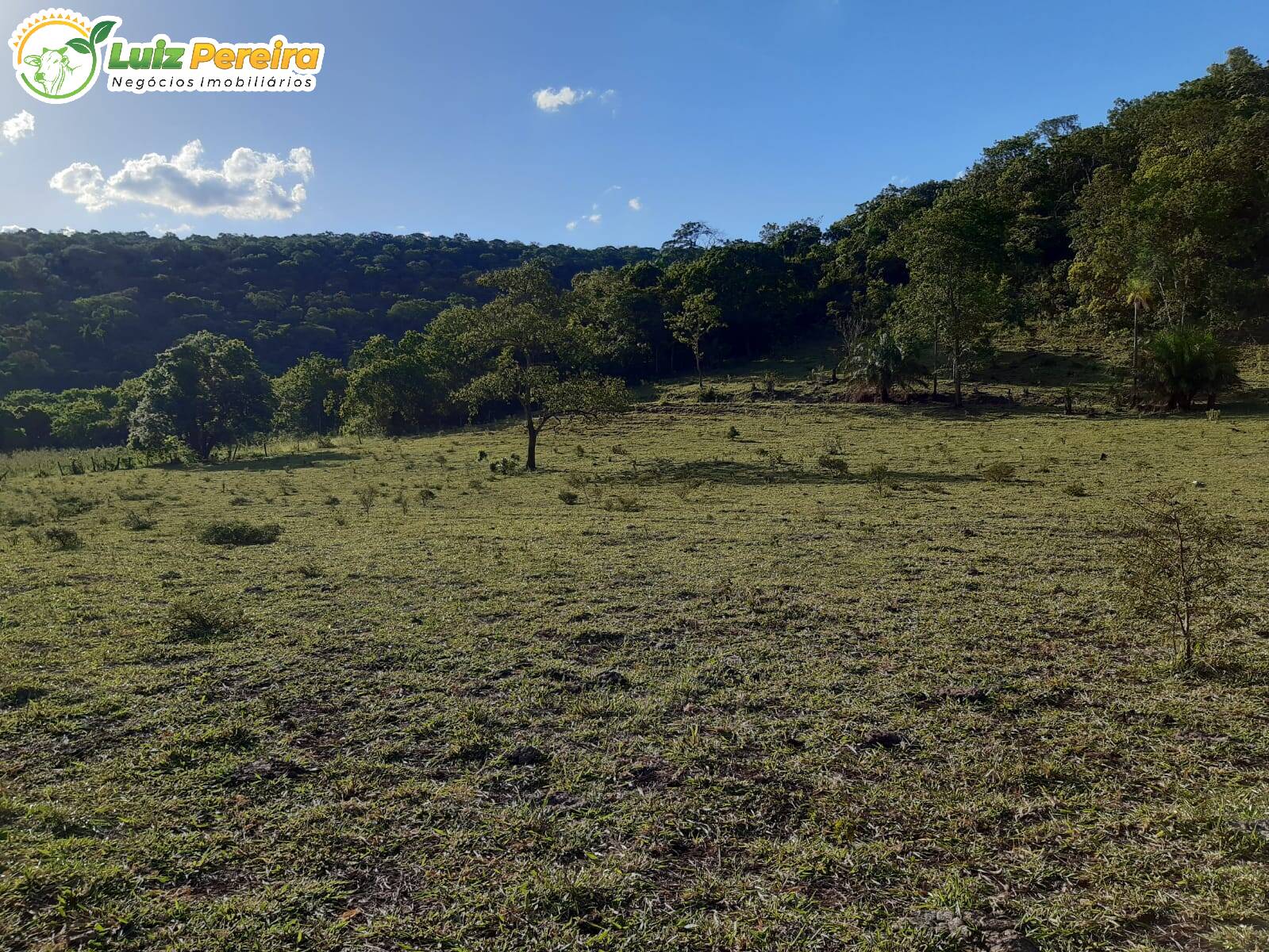 Terreno à venda, 830000m² - Foto 11