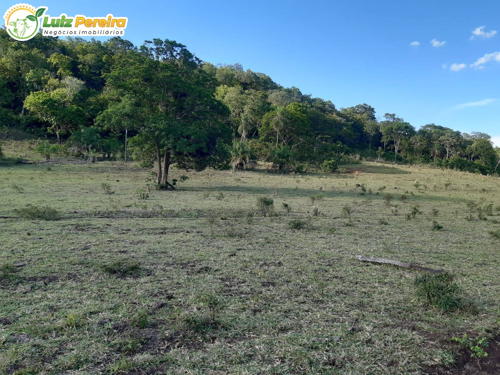 Terreno à venda, 830000m² - Foto 12