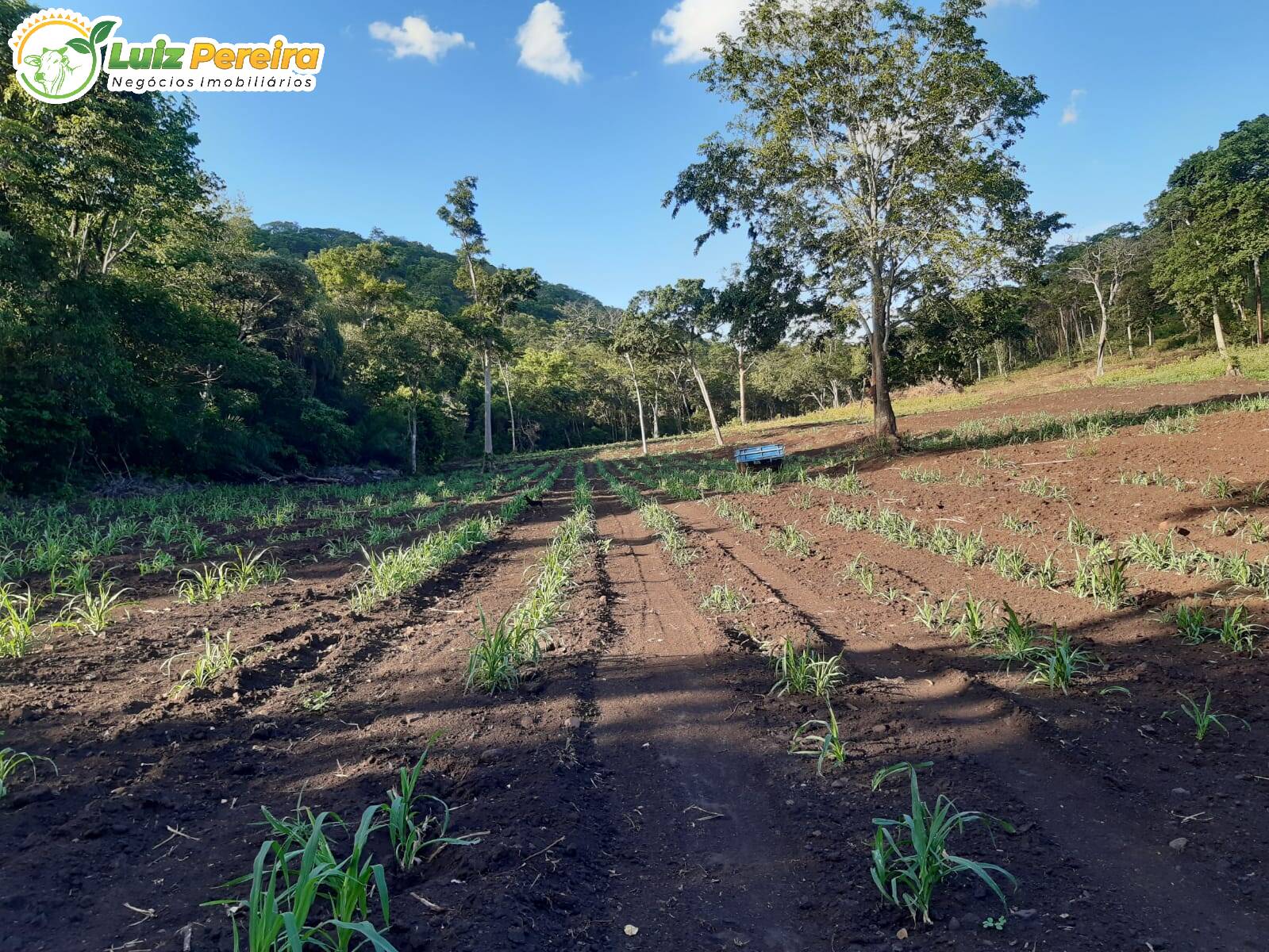 Terreno à venda, 830000m² - Foto 18