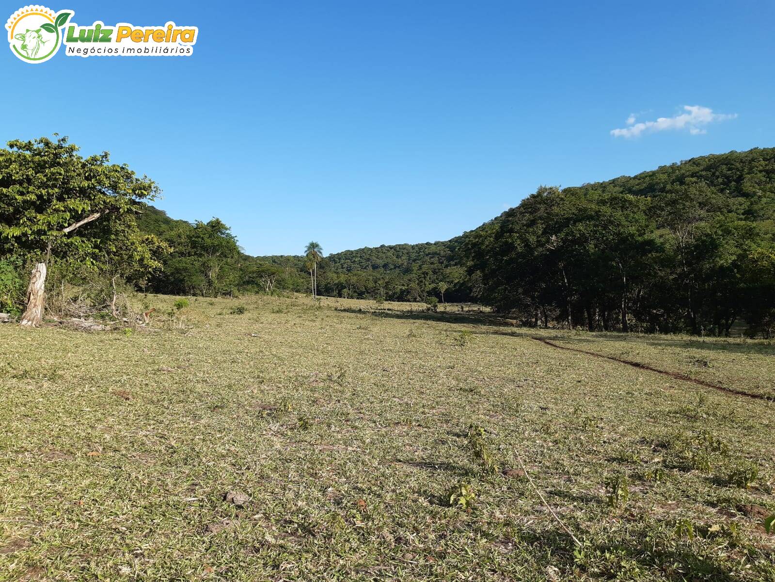 Terreno à venda, 830000m² - Foto 2