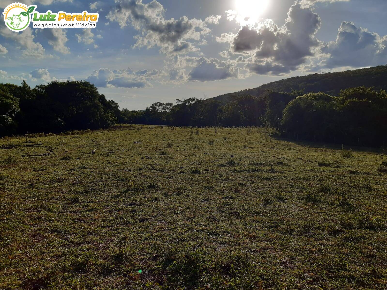 Terreno à venda, 830000m² - Foto 23